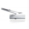 MUELLE TS2000 NV SIN BRAZO PLATA GEZE