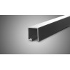 CARRIL AL-25 ALUMINIO 3Mts. (PL-2550)
