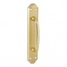 MANILLON PLACA APOLO HIERRO LATON 6044