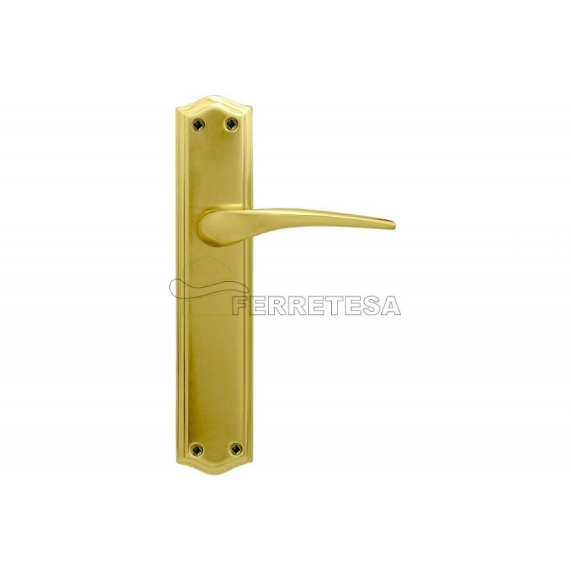 MANIVELA EQ207 PLACA 286x60 PULIDO SAT