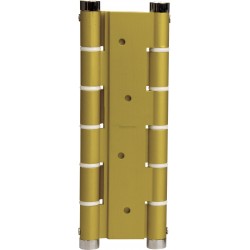 BISAGRA MUELLE DOBLE ACCION ORO