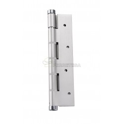 BISAGRA MUELLE SIMPLE ACCION PLATA
