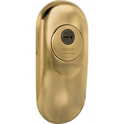 ESCUDO SEGURIDAD 1850HX-2 ORO