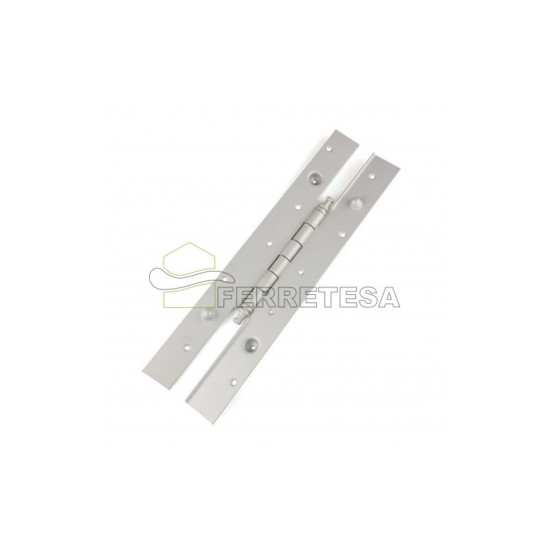 BISAGRA 105 SEG.2030x40 10 C/ROD. HN.DH