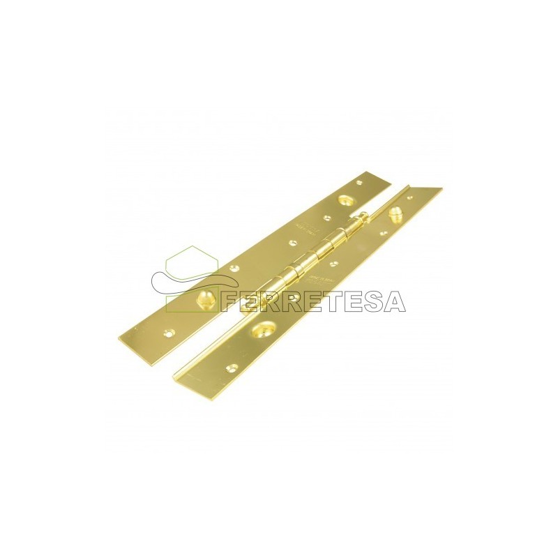BISAGRA 105 SEG.2030x40 10 C/ROD. HL.DH
