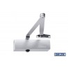 MUELLE TS1500C CON BRAZO ARTICULADO SIN RETENCION PLATA